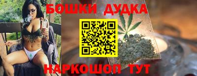 прущие грибы Канаш