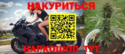 прущие грибы Канаш