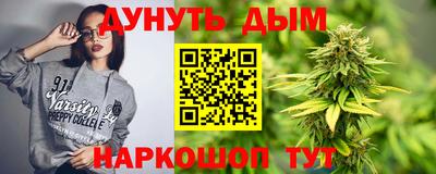 apvp Камышлов