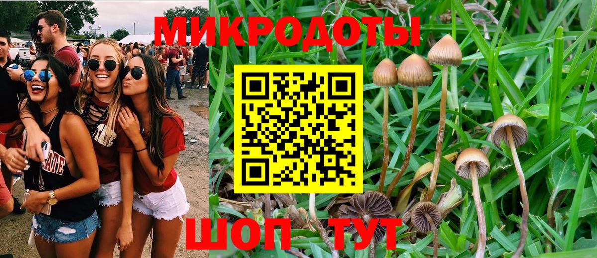 Лангепас  Галлюциногенные грибы Psilocybe  Вход с VPN 